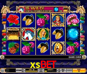 Descubra o Mundo do Cassino Online com xsbet